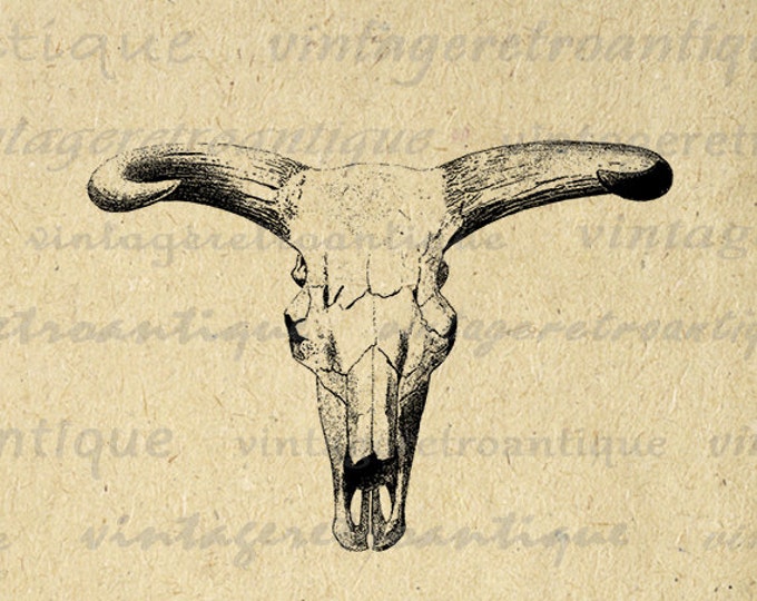 Printable Graphic Western Cow Skull Download Bull Horns Image Digital Antique Clip Art Jpg Png Eps HQ 300dpi No.552