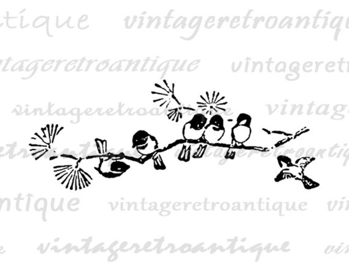 Printable Graphic Birds on Branch Antique Download Image Digital Vintage Clip Art Jpg Png Eps HQ 300dpi No.144