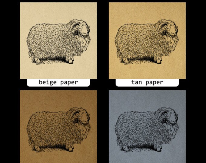 Printable Image Herdwick Ram Sheep Graphic Illustrated Digital Download Vintage Clip Art Jpg Png Eps HQ 300dpi No.3427