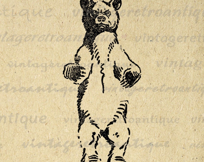 Printable Wild Bear Image Download Illustration Digital Graphic Antique Clip Art Jpg Png Eps HQ 300dpi No.1624