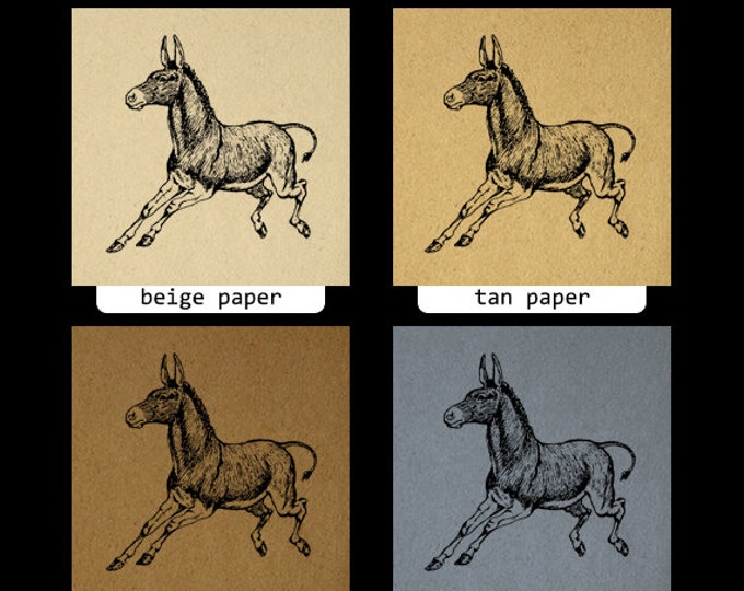 Donkey Graphic Printable Image Horse Digital Download Artwork Vintage Clip Art Jpg Png Eps HQ 300dpi No.782