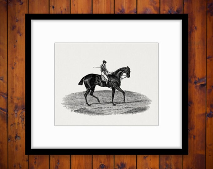 Printable Image Horse and Jockey Graphic Horse Riding Download Digital Vintage Clip Art Jpg Png Eps HQ 300dpi No.4229