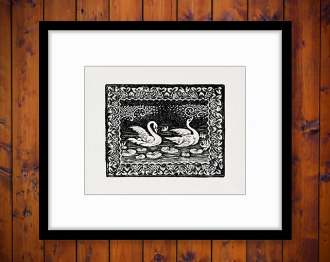 Swans Image Digital Printable Illustration Graphic Birds Download Antique Clip Art Jpg Png Eps HQ 300dpi No.1265