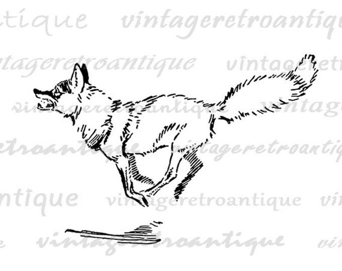 Running Fox Digital Printable Download Animal Illustration Image Graphic Vintage Clip Art Jpg Png Eps HQ 300dpi No.878