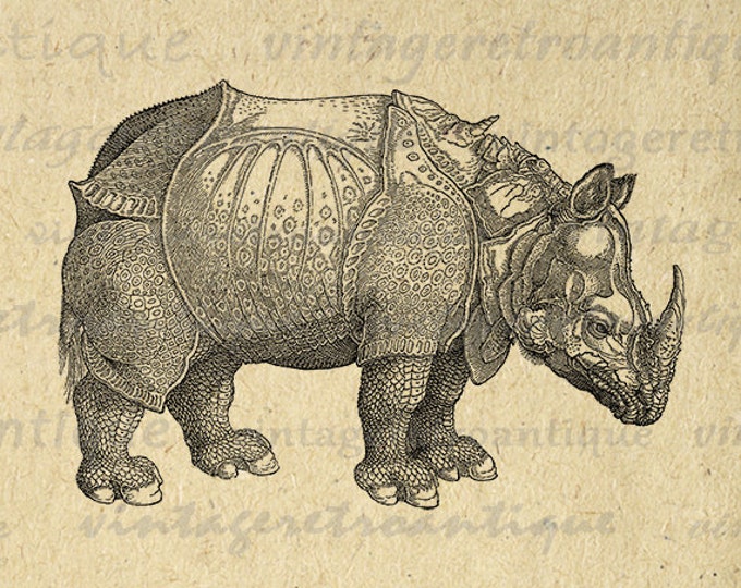 Rhinoceros Printable Graphic Digital Rhino Image Download Artwork Antique Clip Art Jpg Png Eps HQ 300dpi No.2118