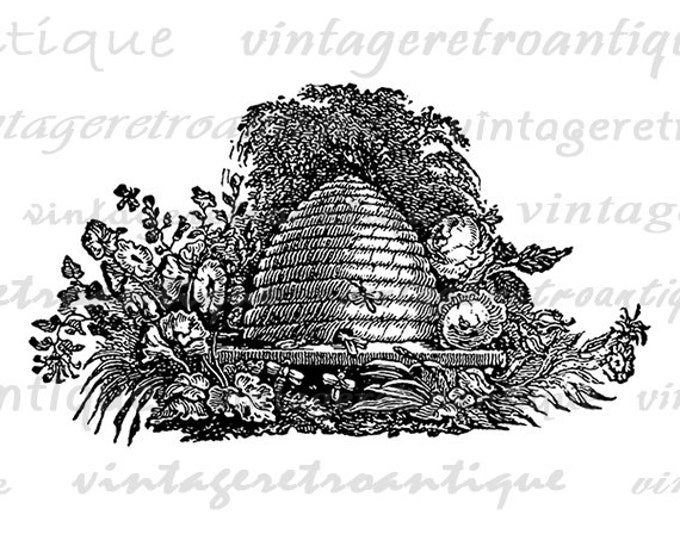 Digital Beehive Image Download Bee Printable Graphic Artwork Antique Clip Art Jpg Png Eps HQ 300dpi No.4116