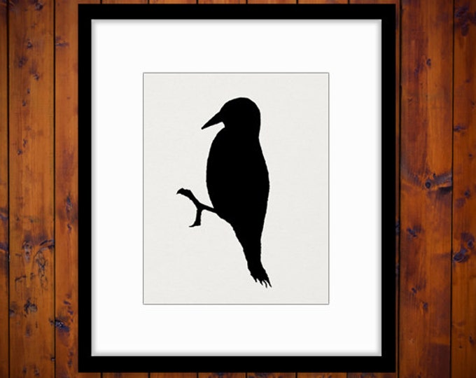 Printable Digital Bird Silhouette Graphic Image Download Vintage Clip Art Jpg Png Eps HQ 300dpi No.3280