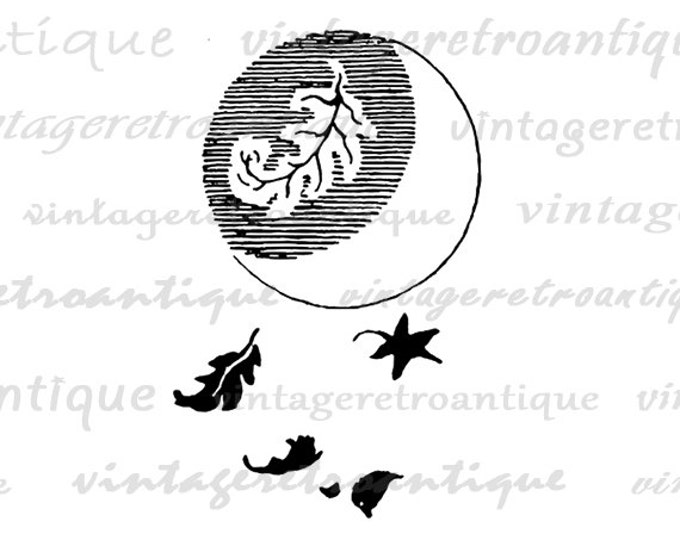 Printable Image Moon and Leaves Graphic Illustration Digital Download Vintage Clip Art Jpg Png Eps HQ 300dpi No.910