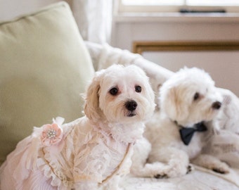 Vintage Style Shabby Chic Dog Dress (small sizes)