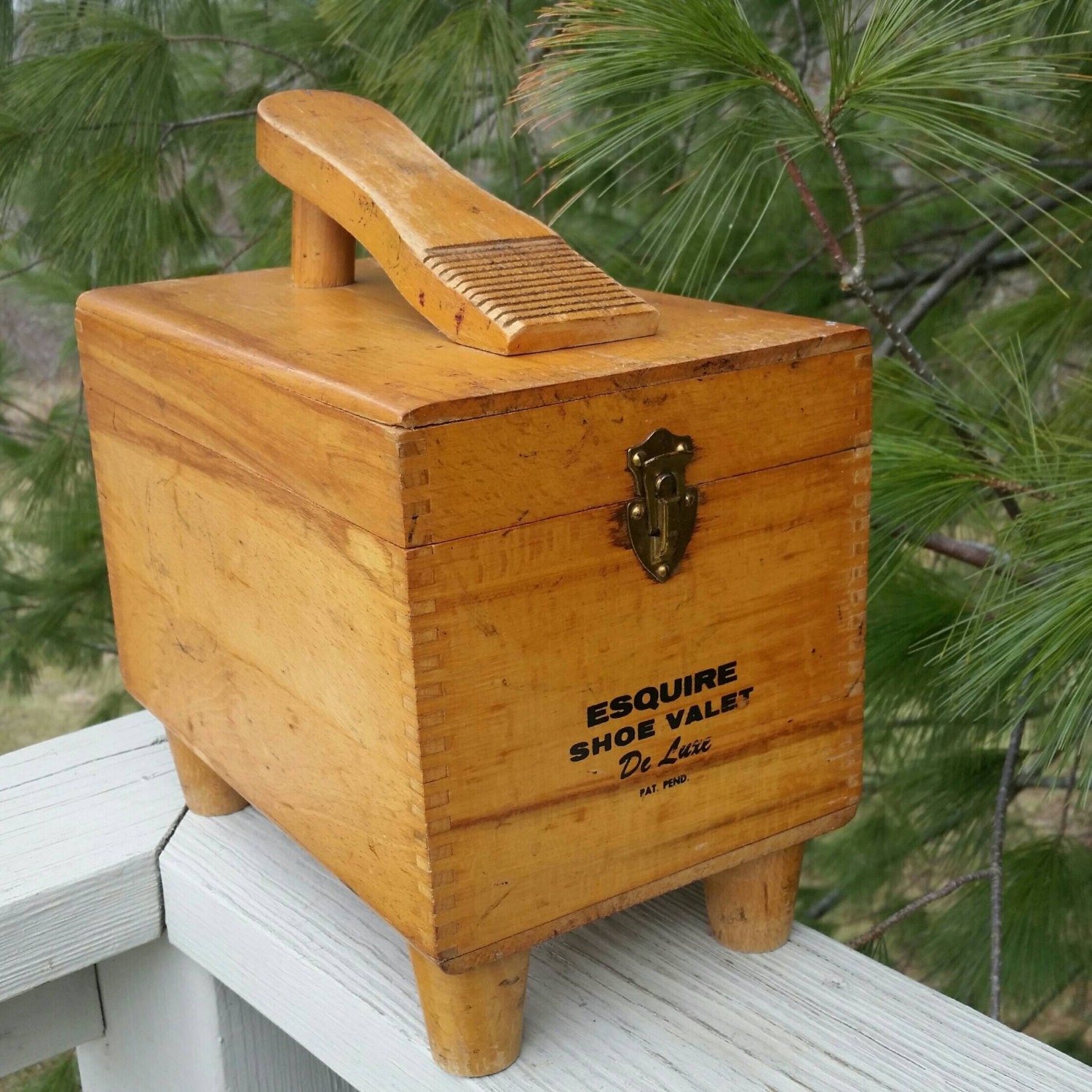 deluxe shoe shine kit