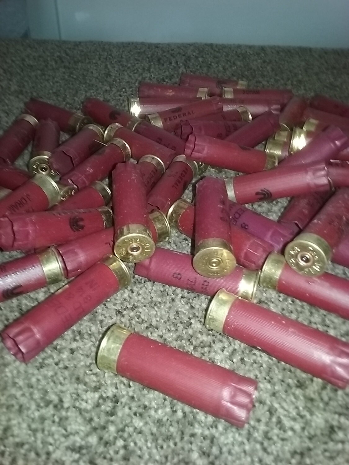 100 12 ga. FEDERAL SHOTGUN SHELL Hulls Maroon