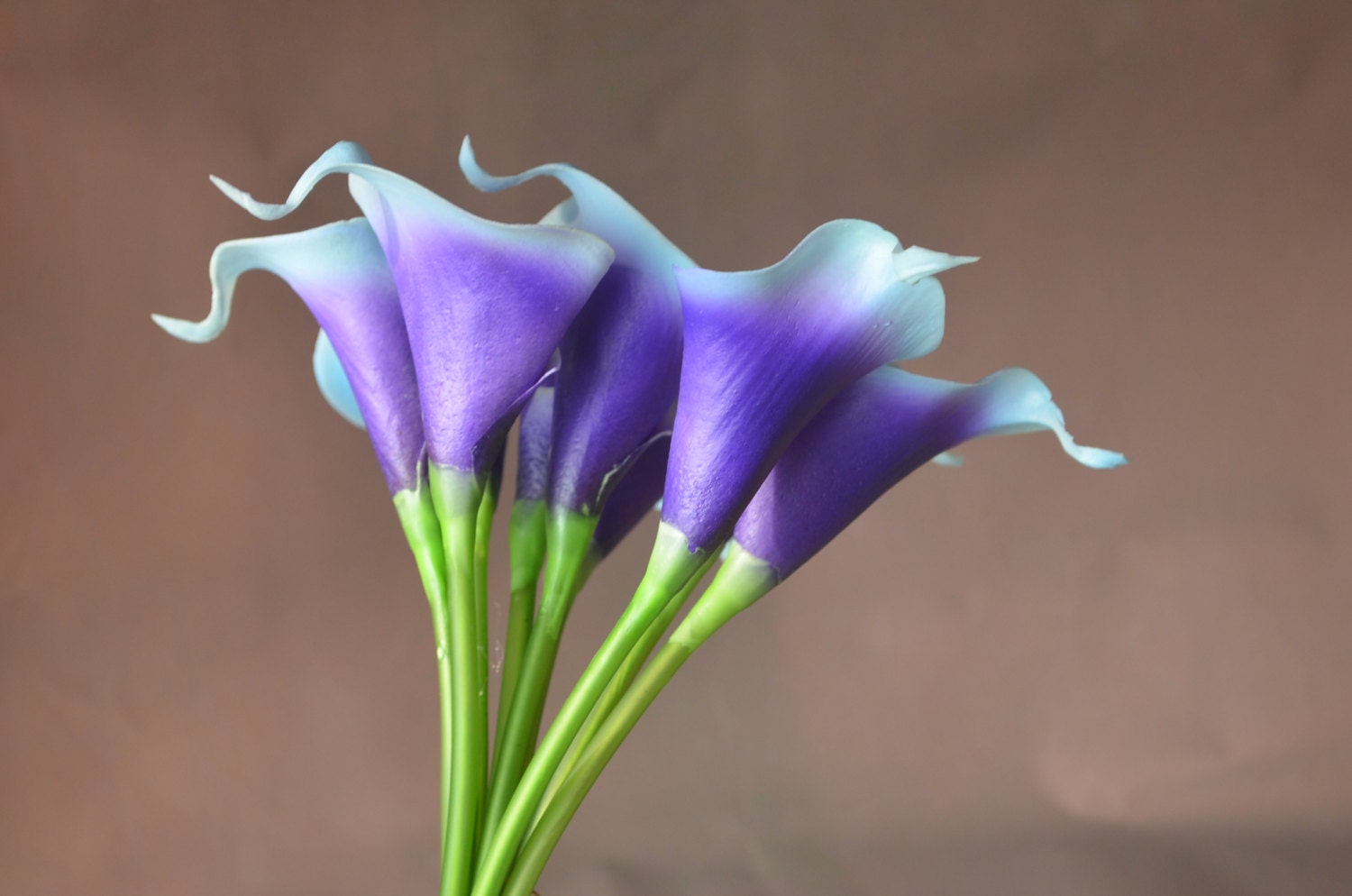 Blue Purple Picasso Calla Lilies Stems Real Touch Flowers