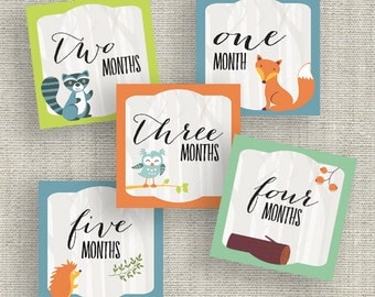 Printable Woodland Creatures Baby Milestone Tags