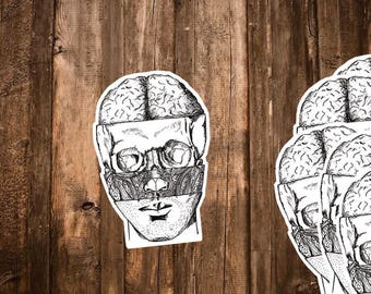 Human Skull Anatomy Stickers - 6 Science Anatomical Hand Drawn Stickers/Human Anatomy Art Chart/Skeleton Sticker Pack - Medical Student Gift