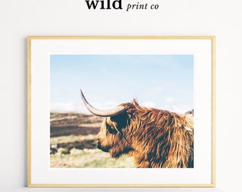 Highland Cow Print, Cow Print, Animal Wall Art, Poster Print, Landscape Print, Printable Art, Modern Home Decor, Animal Photography
