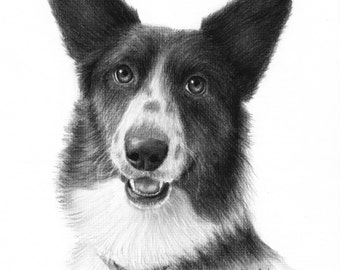 Custom Pet Portrait, Charcoal Drawing, Drawing From Your Photo, Custom Dog Portrait, Custom Cat Portrait, Animal Lover Gift