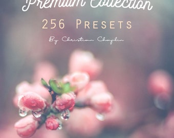 Premium Collection 256 Lightroom Presets (Fashion, Matte, Vintage, Wedding and lot of other)
