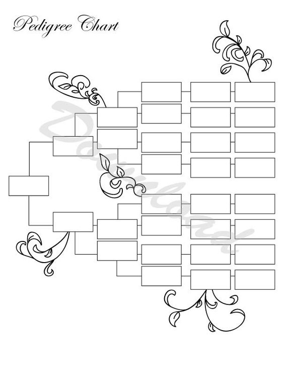 Pedigree Chart