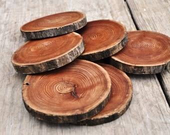 Elm Tree, Wood Slices for Centerpieces, Wood Slice Art, Wood Slices Bulk, Wood Slices Wedding, Wooden Coasters, Wood Coasters, Shabby Chic