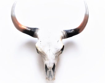 Cow Skull, Faux Animal Skull, Painted Cow Skull, Boho Decor, Cow Skull Australia, Tribal Decor, Animal Skull, Faux Taxidermy, Skull Decor,