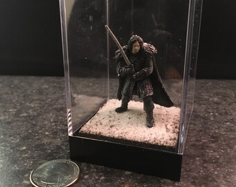 Jon Snow - 2.5 inch Decorative Diorama Case