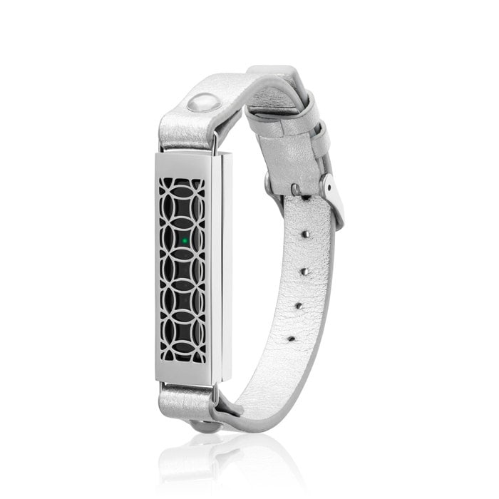 fitbit flex 2 bracelet