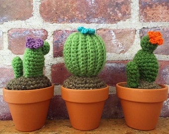 Crochet cactus, crochet succulent, made to order - International Shipping
