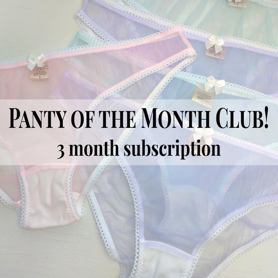Panties Of The Month Club 113