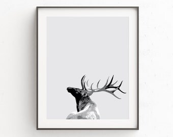 Wall Art Deer Head | Nursery Art Stag | Stag Head Wall Print