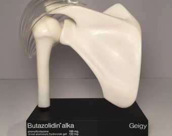 Vintage (1960's) Geigy Anatomical Human Shoulder Model