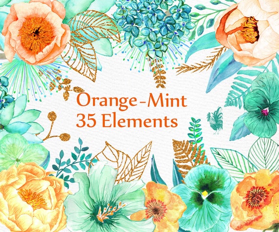 Download Orange Mint flowers clip art: WATERCOLOR FLOWERS