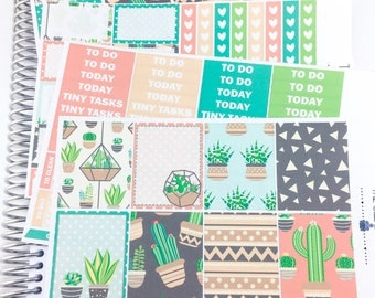 Summer cacti Weekly Kit | Planner Stickers, Weekly Kit, Spring Weekly Kit, Vertical Planner Kit, succulemt Weekly Kit, cactus weekly kit
