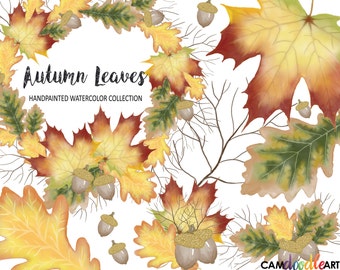 Watercolor Autumn Leaves Clipart Collection,Fall Wreath,Leaf,Branch,Acorn Clipart,Scrapbooking Clipart,Cardmaking Clipart, png file