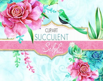 60% OFF SALE Digital Watercolor Floral Clipart, Succulent Clipart, Cactus clip art, Aloe Vera, Cacti, Plant, Botanical Greenery PNG, Diy