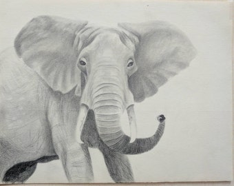 Items similar to Elephant Back Drawing Print on Etsy