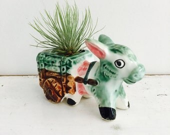 Donkey and Cart Planters - one left small