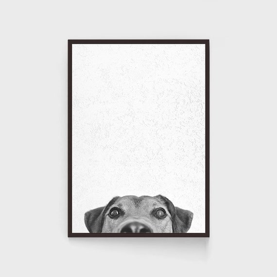 Black and White Dog Print Hidden Dog Print Dog Wall Art Dog