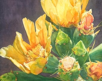 Cactus, 22x22 handmade art watercolor giclee painting print, tropical succulents, deckled edges, warm colors, greens, by Phyllis Nathans art