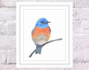 Bluebird on branch | Etsy