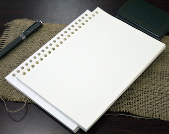 A5 reinforced graph filler paper, 20-ring, fountain pen friendly, 80 sheets/pack.