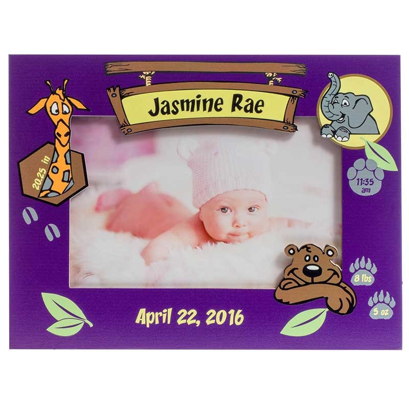 Personalized Baby Picture Frame, Baby Girl Picture Frame,New Baby Girl Frame, Baby Girl Birth
