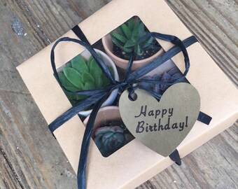 Succulent gift box- perfect for birthdays mother's day ect.
