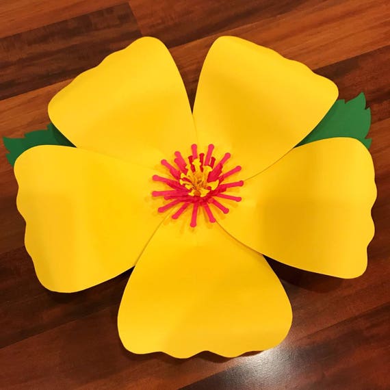 Giant Paper Flower Hibiscus Templates