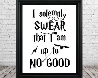 Download Harry Potter I solemnly swear I am up to No Good