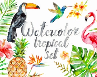 Watercolor Tropical Clipart, summer, flamingo, flower, pineapple, bird, palm, summer, exotic, hibiscus, monstera, fruit, Hawaii, beach