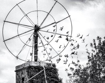 Ibiza. Photograph of black and white limited series.