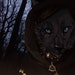 Kurouwolf