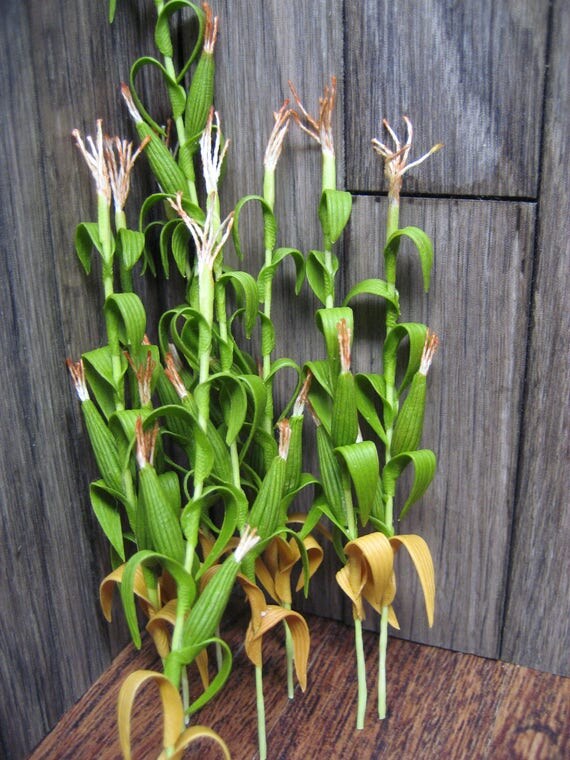 Dollhouse Miniature Corn stalks 112 Scale from MiniatureCabinDecor on