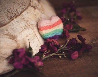 Pastel Felted Mini Rainbow Heart Stuffie Photography Prop Newborn Props Baby