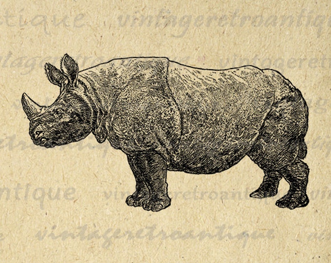 Rhino Graphic Printable Image Download Rhinoceros Illustration Digital Vintage Clip Art Jpg Png Eps HQ 300dpi No.2640